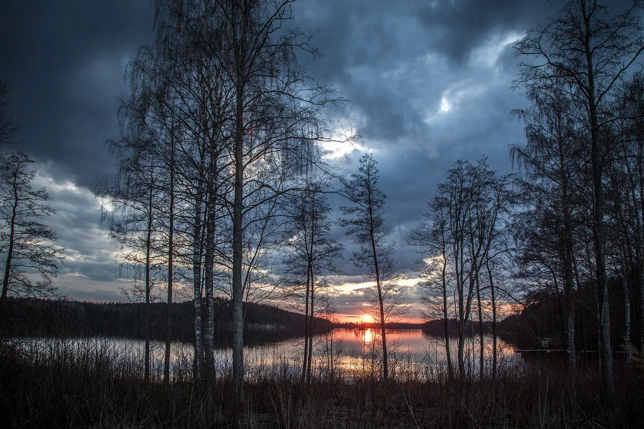 lake 1365288 1280 Essential Skills Every Professional Needs for Success in 2024